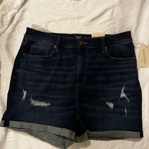 NEW WITH TAGS Denim jean distressed shorts